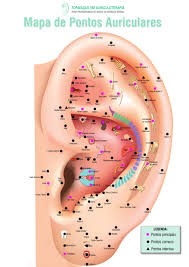 Auriculoterapia – Ajude seu sistema imunológico a te proteger